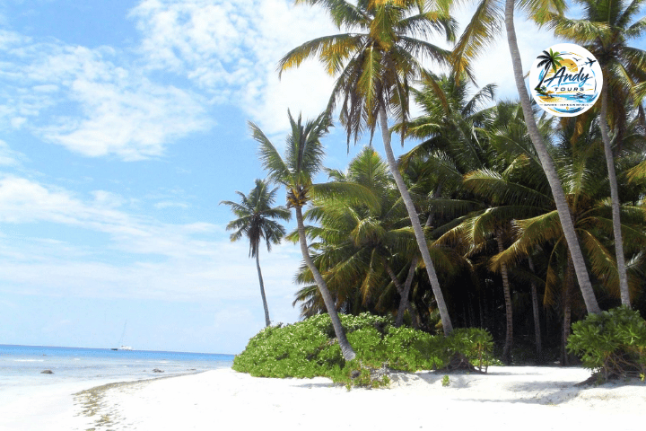Insel Saona VIP – Karibik erleben