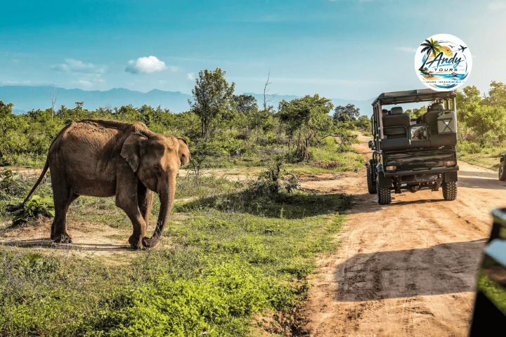 Safari Land & Leute Kultur erleben