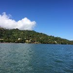 image (2)