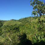 image images