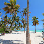 Saona VIP