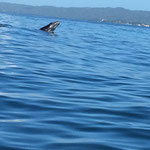 image (5)