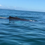 image (6)