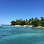 image (7)