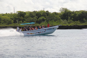 schnellboot-zur-insel-saona schnellboot