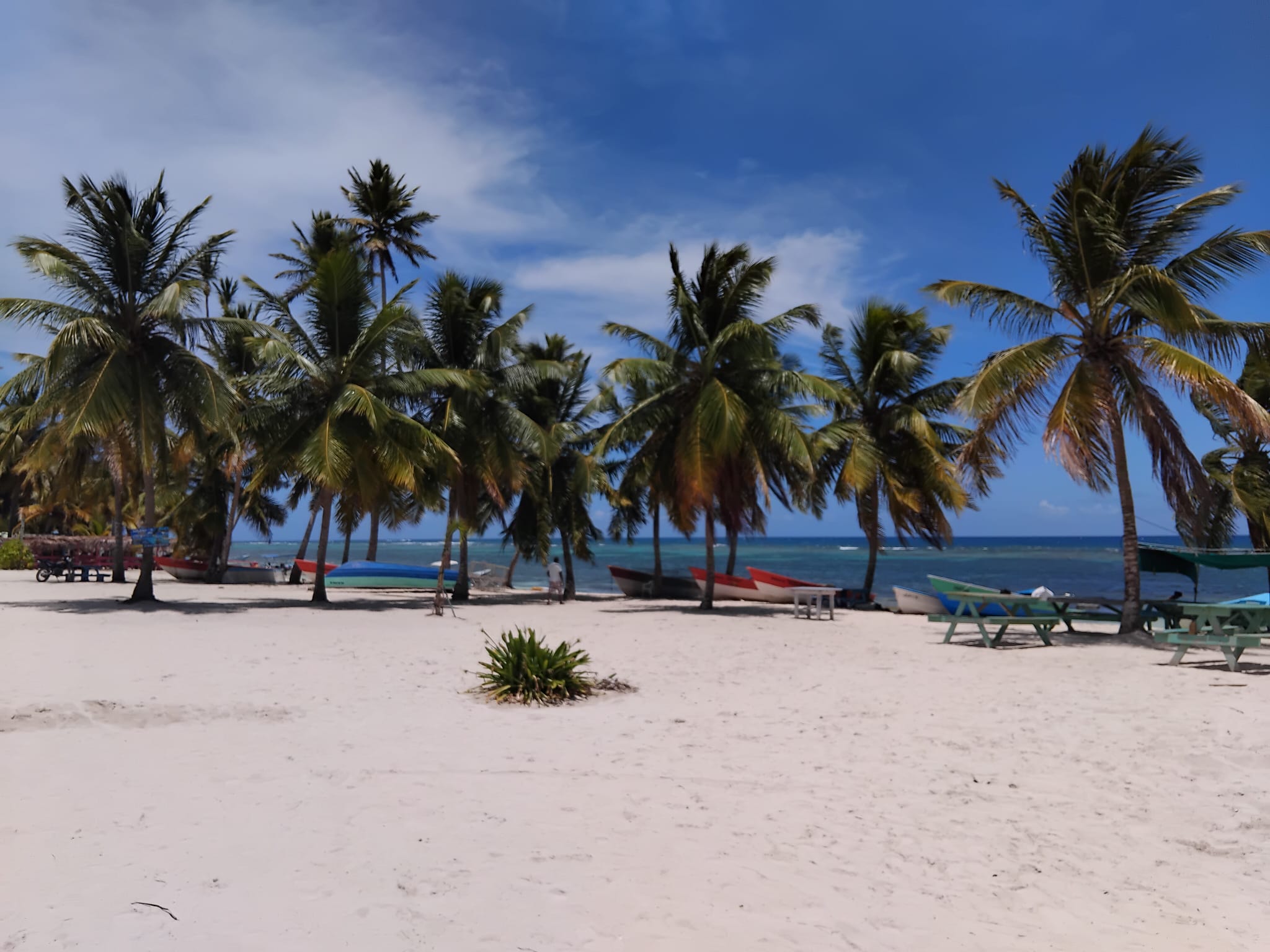Weißer Sandstrand auf Saona Island
