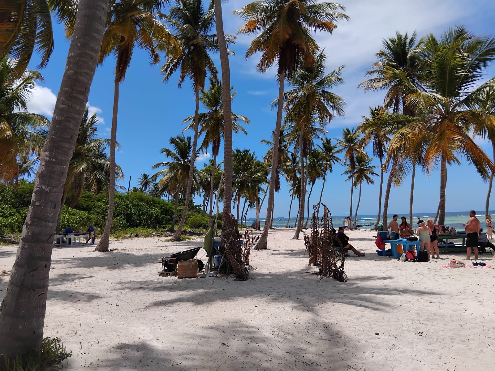 Insel Saona Ausflug (15) Frische Kokosnuss am Strand von Saona