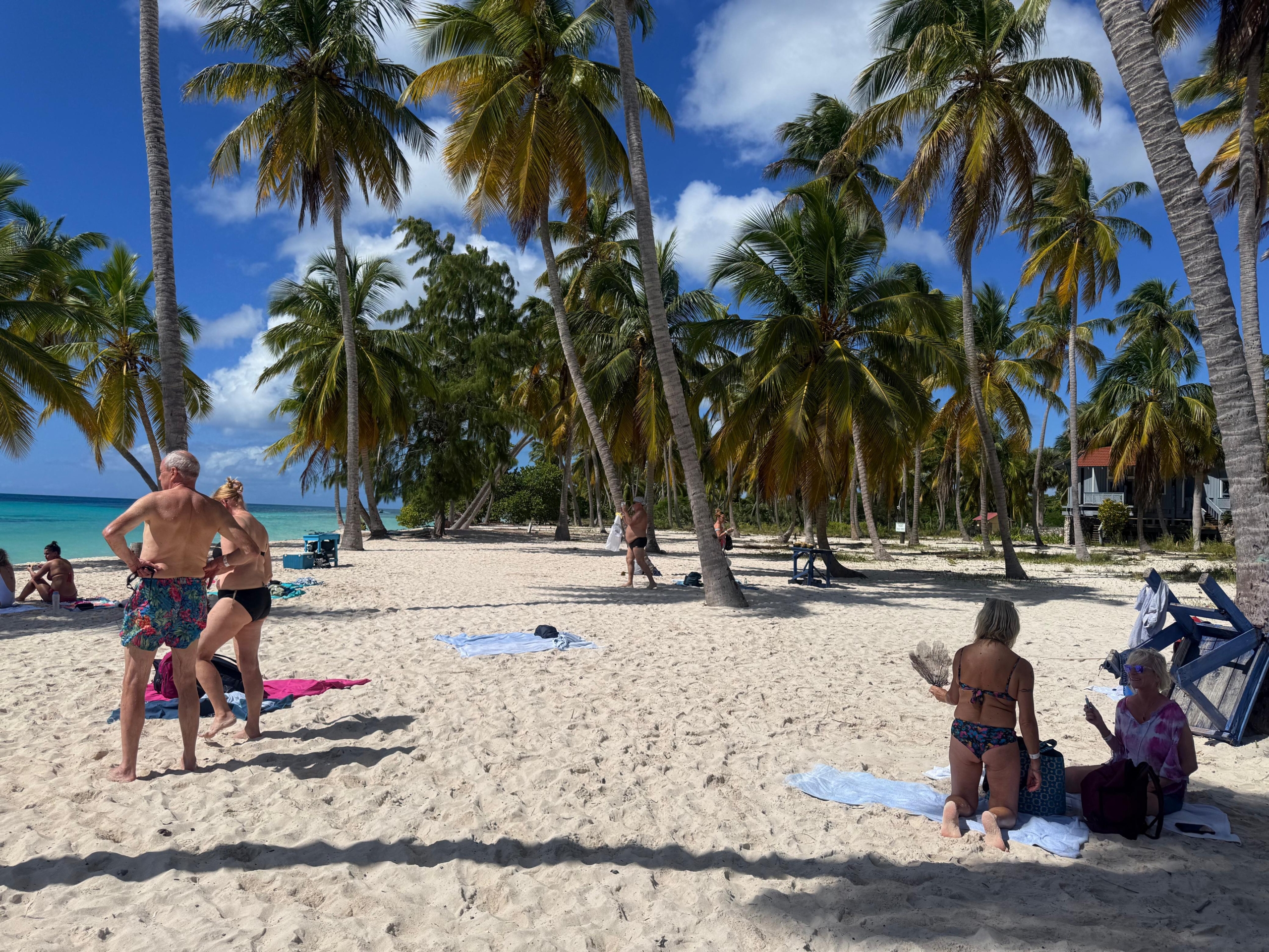 Saona Insel Ausflug ab La Romana – Impression 2