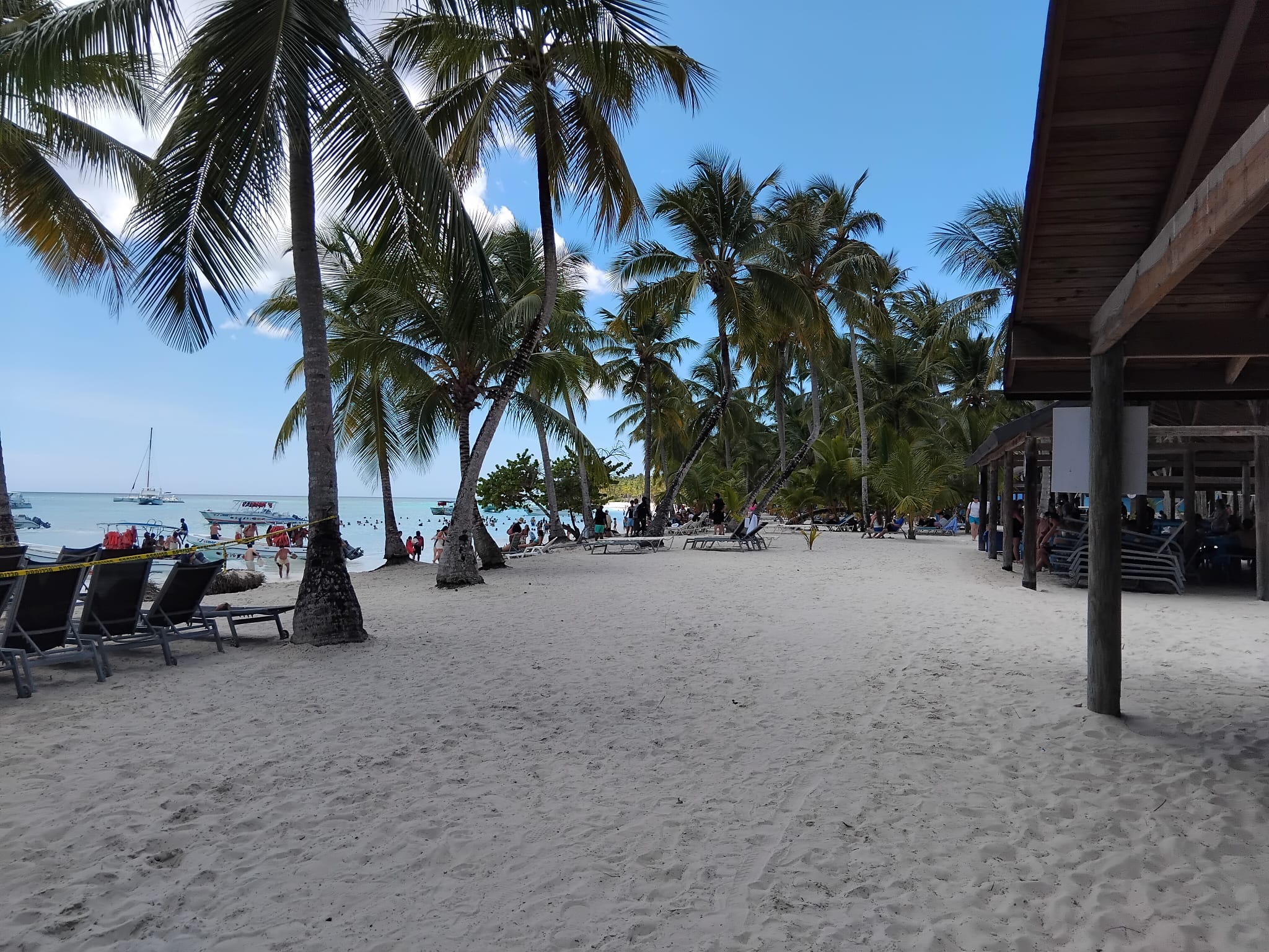 Heller Strandabschnitt der Insel Saona mit Kokospalmen und flachem türkisfarbenem Wasser