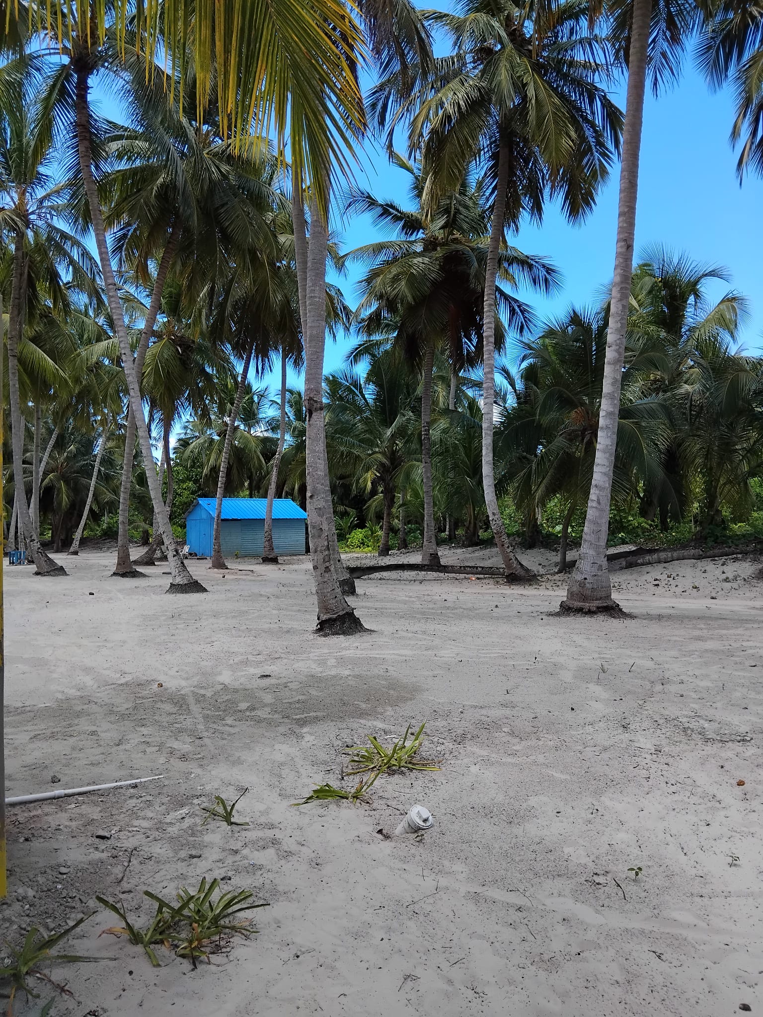 Türkisfarbenes Wasser auf dem Weg nach Saona