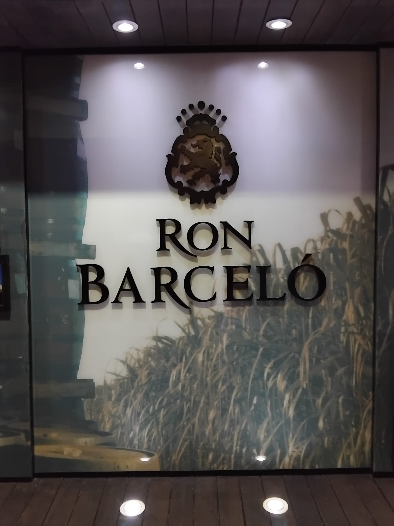Safari Tagesausflug (12) Ron-Barceló-Rumfabrik – Führung und Rumverkostung