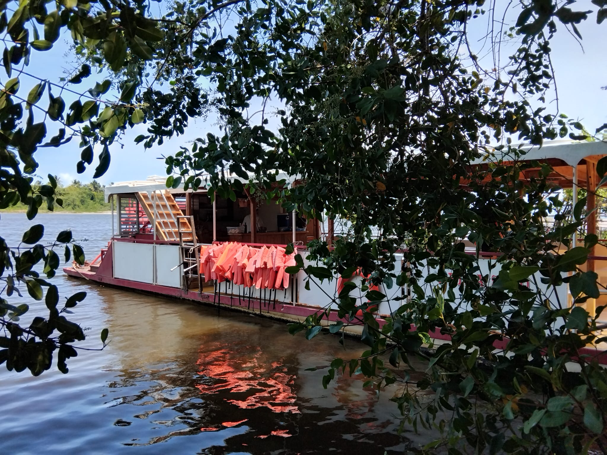 Safari Tagesausflug (19) Dschungelfahrt mit dem Schaufelradboot Reina del Soco auf dem Río Soco