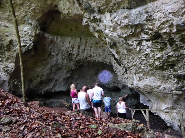 Bewachsene Kalkfelsen und ruhiges Wasser im Nationalpark Los Haitises