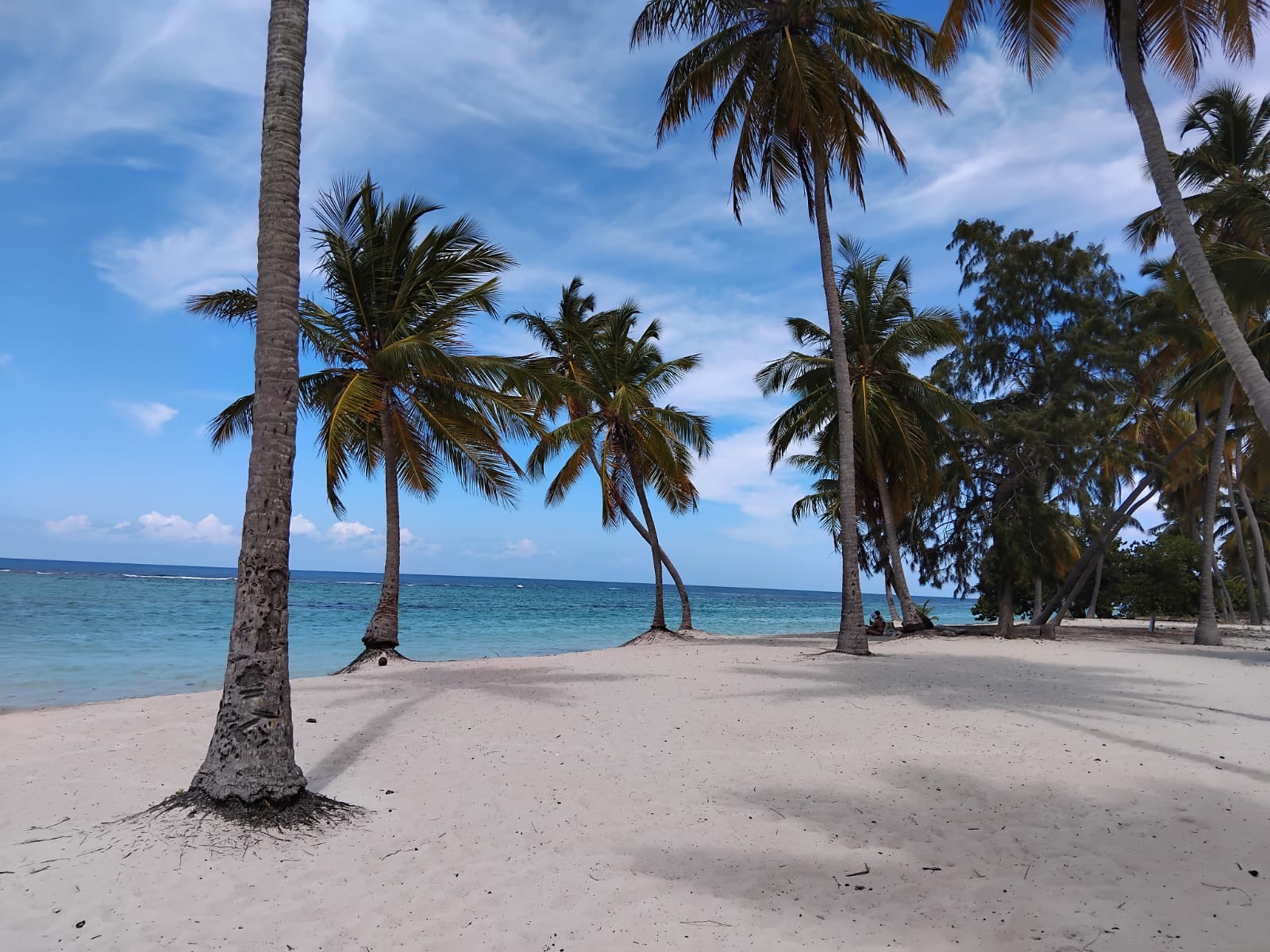 Saona Insel Ausflug ab La Romana – Impression 10
