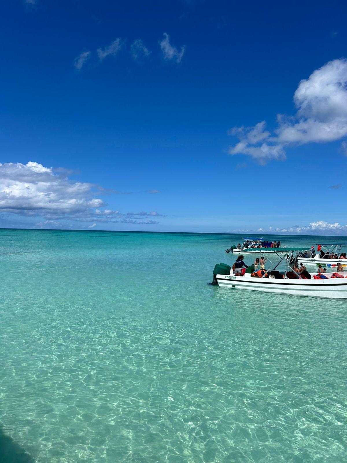 Saona Island Dominikanische Republik (3) Unberührte Küste der Insel Saona mit Palmen